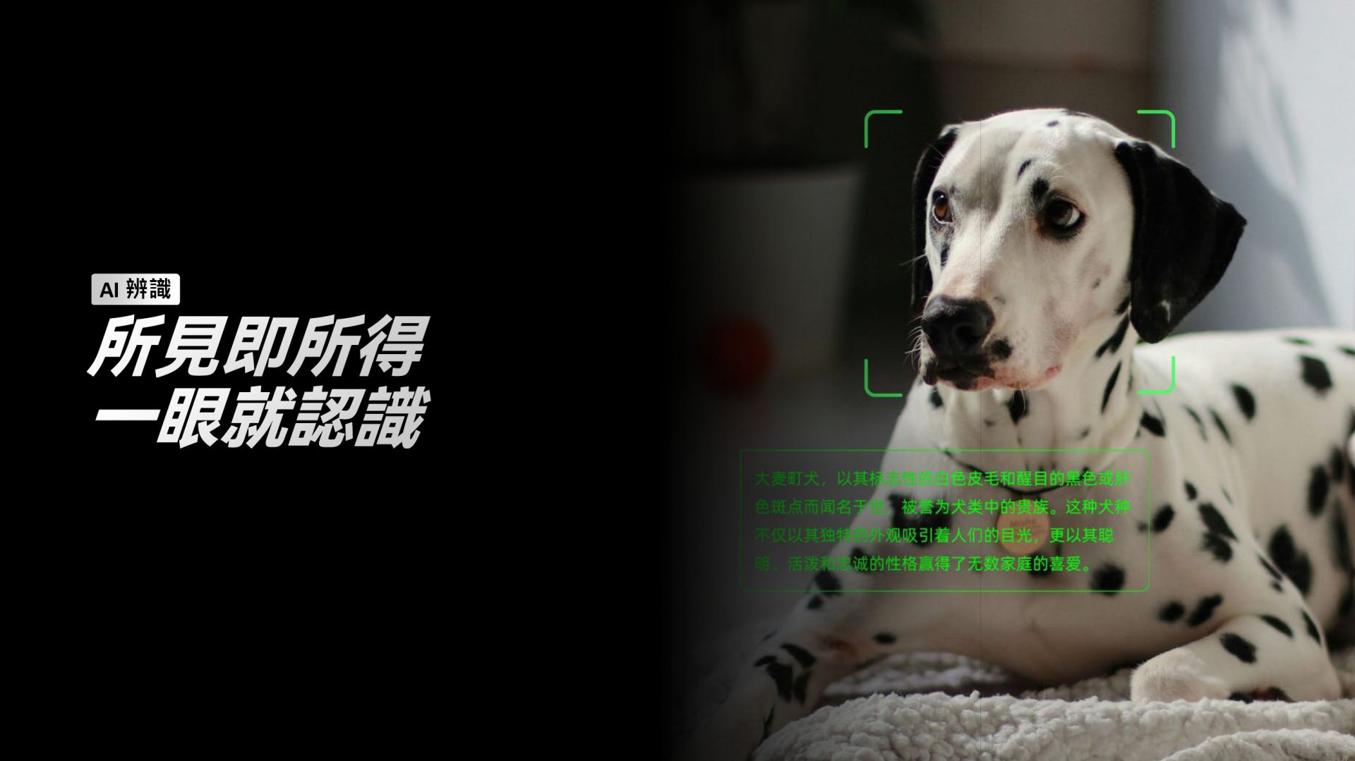 25301140752267671fb01e